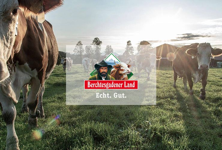 Beitragsbild Milchwerke 740x500