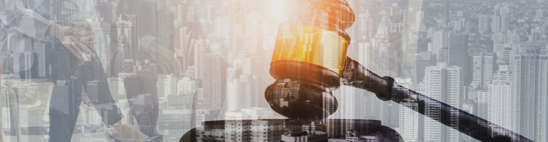 Hero Banner 1920x500 Webinar Auktionen