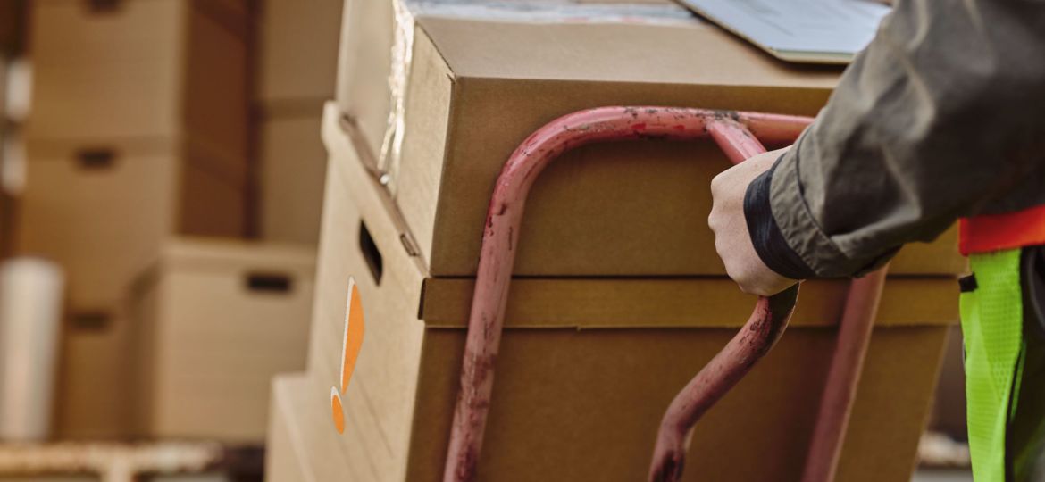 News BlogVanessa 740x500