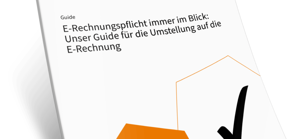 E Rechnungspflicht Overview