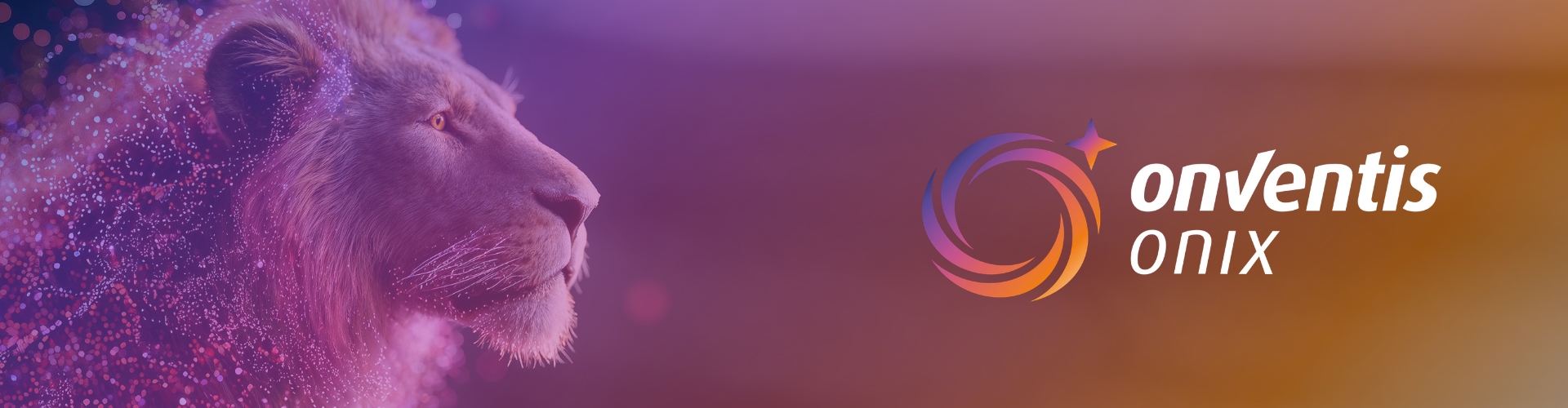 Xchange Interview Florian Ahle Mailing (1920 X 500 Px)